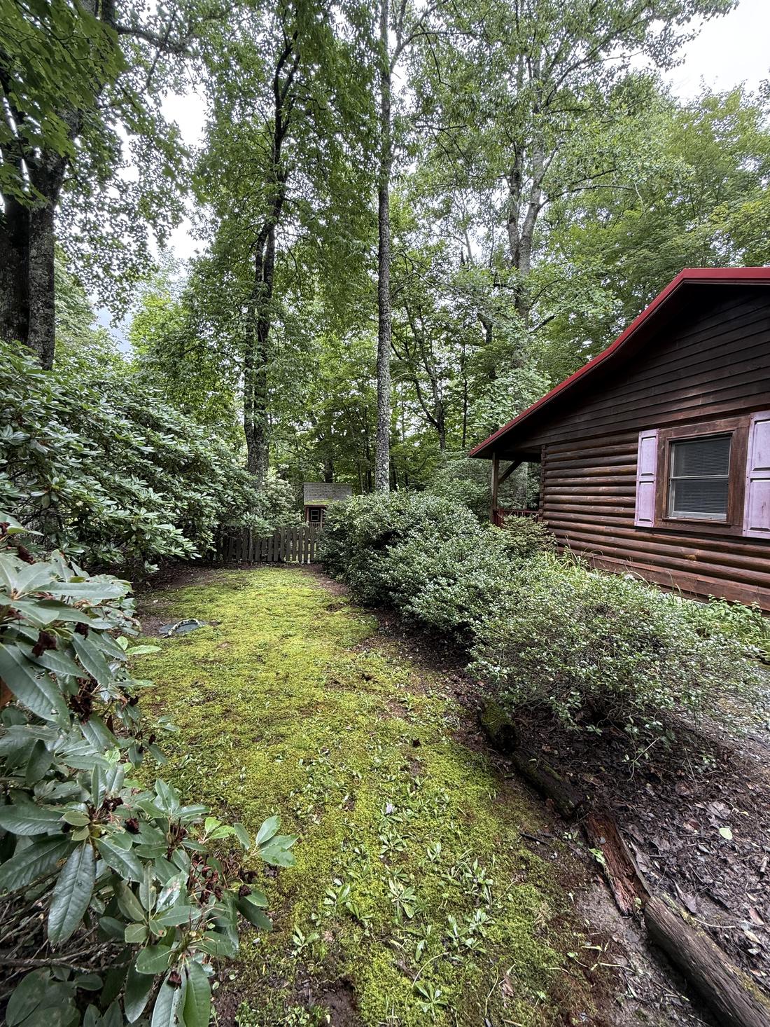 Cabin with trimmed shrub beds and a mossy shaded lawn running to a wood fence